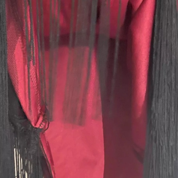 Vampy Gothic Maxi Dress- Black Mesh and Sequins over Red lining w/ Tassels LARGE - Picture 11 of 14